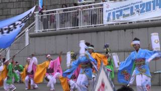 子鳩子兎　百姫隊☆大賞＠2014　ハマこい・パシフィコ横浜広場（Ⅱ）