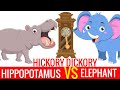 Hickory Dickory Dock Hippo vs Elephant Song - THE BOOMERS Preschool Songs for Circle Time