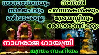 ഇന്ന് ജപിക്കൂ നവനാഗ സ്തോത്രവും സന്തതി പരമ്പരകളുടെ ശ്രേയസ്സിനും  / സർപ്പദോഷം മാറാനും ഐശ്വര്യത്തിനും