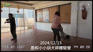 2024年12月15日鹿和小小訓犬師體驗營#等你來體驗ll長大後我也要當訓犬師#鹿和訓犬學校#鹿大 訓犬#鹿和狗狗專屬住宿旅館