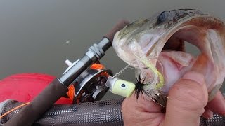 Bass Fly Fishing 霞ヶ浦水系2015年11月26日