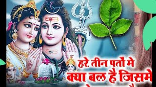 🌿हरे तीन पत्तों में क्या बल है जिसमें भोला मगन है,सबसे आसान और नया शिव भजन #शंकर MeenaBhajanSangam