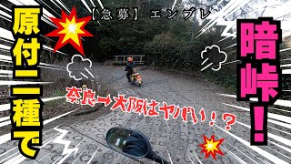 【暗峠】奈良から大阪へのルートは控えめに言って・・・【バイク女子雑談ツーリング】