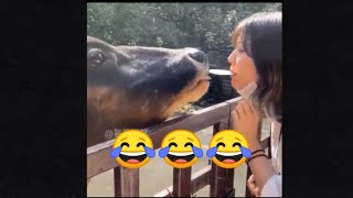 Happy with video funny រីករាយជាមួយវិដេអូកំប្លែង