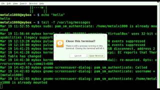 Screen Basics in Linux - BASH.avi