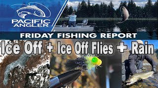 Vancouver Fishing Report - Who Is Going Lake Fishing? INTERESTING River Conditions + Ice Off Flies