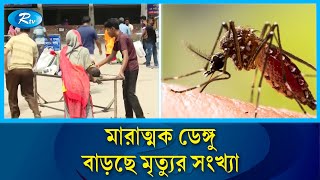 দুই মাসে ১৬৩ জন ডেঙ্গু আক্রান্ত হয়ে মা/রা গেছে | Dengu | Rtv News