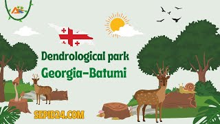 Dendrological Park in Georgia-Batumi 🌳