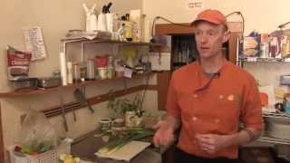 Foraged Food Trend Has Restaurants Breaking Health Codes