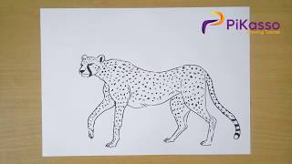 How to Draw Cheetah step by step