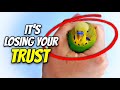 ALL Early Signs of your Bird Losing Trust in you