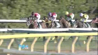 H25 第18回 東京スポーツ杯2歳ステークス (GIII) / イスラボニータ 蛯名 正義 【競馬】