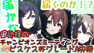 【#ウマ娘】追込狂のチャンピオンズミーティング グレードリーグ Ａ決勝【#ピスケス杯2023】