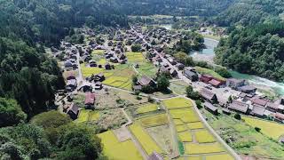 085.初秋 展望台より荻町全景1,ドローン映像有_Shirakawa-go movie images - Autumn, Drone | Shirakawa village, Japan