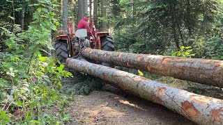 🌲Débardage et Abattage bois petit Matériel MR Boisnet