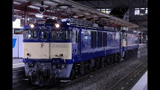 2024/12/12　配給列車　EF64 1031+EF65 1103