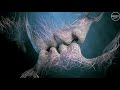 Melodic Techno & Progressive House Mix 2019 ◆ Eye To Eye (Electro Junkiee Mix)