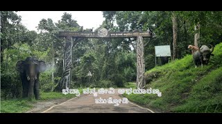 Muthodi | Bhadra Wildlife Sanctuary | ಭದ್ರಾ ವನ್ಯಜೀವಿ ಅಭಯಾರಣ್ಯ | ಚಿಕ್ಕಮಗಳೂರು