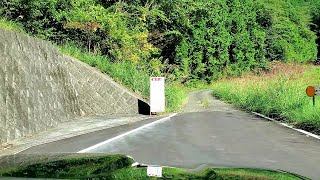 ジムニーで北箱根山林道(箱根やまなみ林道)から分岐する林道沢入線と林道和田線を走る！封鎖林道も発見！【車載動画】