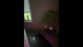 Inside Positive Embrace Massage Therapy, LLC at Spatacular Escapes