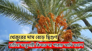 খেজুরের পাইকারি মার্কেট, ফলমুন্ডি, চট্টগ্রাম । Price of dates almost double