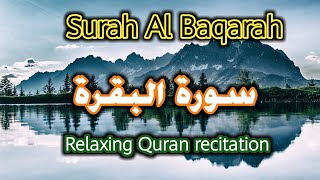 Surah Baqarah |Surah To Keep Shaytan Away | Relaxing Quran Recitation