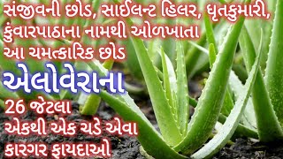 એલોવેરાના ફાયદા- કુંવારપાઠાના ફાયદા- Benefits of Aloe vera- Aloe vera Na Fayda- Aloe vera ke fayde