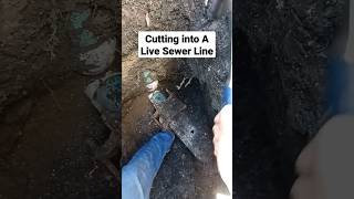 Cutting Into A Live Sewer Line