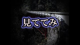 【怪談朗読】「見ててみ」呼んでも意味無いで…【都市伝説・怖い話】