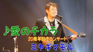 「♪愛のチカラ＜20周年記念コンサート＞」ミヤギマモル（2016）