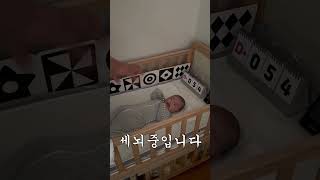 아기가 안 잘 때 #손모빌 #타이니러브모빌 #타이니모빌