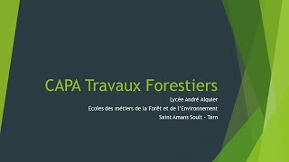 CAPA Travaux Forestiers