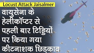 Locust Attack: Jaisalmer में Air Force के Helicopter से पहली बार टिड्डियों पर छिड़का गया कीटनाशक