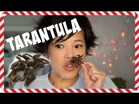 Does beetle eat spiders?