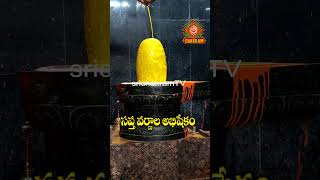 ఎక్కడా చూడని సప్త వర్ణ ద్రవ్యాలతో అభిషేకం #chaganti #sapthaham #abhishekam #7colors #motivation