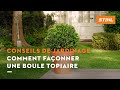 Comment façonner une boule topiaire ? - Conseils de jardinage STIHL