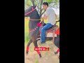 કાઠી દરબાર ઘોડા સાથે મોજ manki horse youtube channel 12k