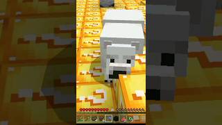 Minecraft Every Thing Is made by Lucky block you should try #minecraft #anima #herobrine #basuplayz