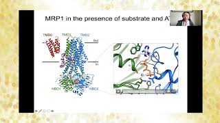 PDB50 at BPS: Jue Chen