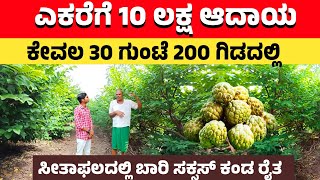 ಕೇವಲ 30 ಗುಂಟೆಯಲ್ಲಿ 10 ಲಕ್ಷ ಆದಾಯ | Custard apple farming in Karnataka | Best Agricultural videos|PHVK