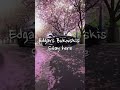 Edgars Bukovskis - Stay here