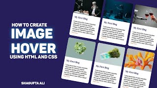 Css Div Image Hover | Html, Css image card hover effect