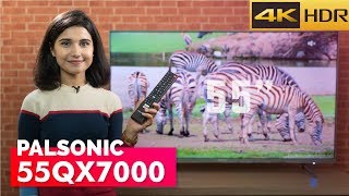 अस्ट्रेलियन ब्राण्डको यो Palsonic TV कस्तो छ त? [TV Review]