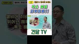 [건달TV] 샐비어.히비스커스 물#해독작용#건달TV#건강정보