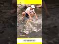 Tersungkur Menarik Jala Karna Berhasil Jala Banyak Ikan #shortvideo #shortsvideo #shorts #viral