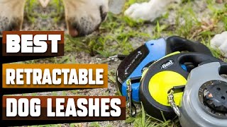 Best Retractable Dog Leash In 2024 - Top 10 Retractable Dog Leashes Review
