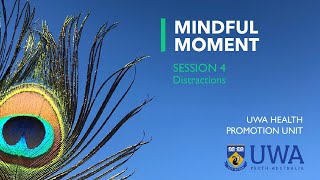 Mindful Moment #4: Distractions