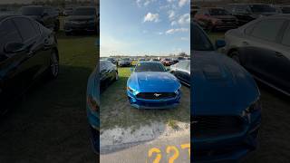 Ford Mustang. Форд Мустанг на авто аукционе в США. Американский красавец.