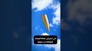 أين تذهب الرصاصة بعد إطلاقها في السماء؟ 🔍 #shorts