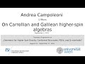 Andrea Campoleoni - On Carrollian and Galilean higher-spin algebras